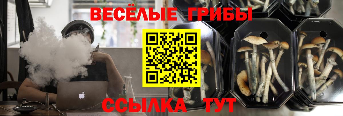 Псилоцибиновые грибы Psilocybe  Псилоцибиновые грибы Magic Shrooms  Вход с VPN  Ликино-Дулёво 